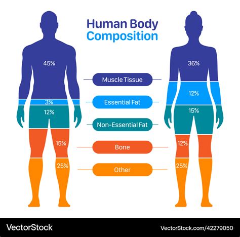 nude body|The human body is often seen through a male lens. 30 female ...